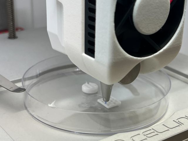 Kaahil and Georgia bioprinted structures with silicone for a demo.