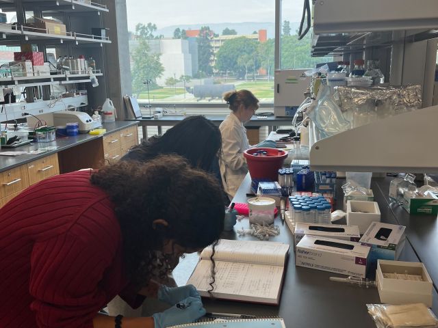 Georgia, Catherine, and Vidya hard at work at the bench!