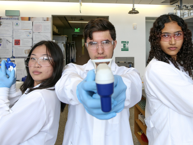 Charlie's Angels ft. the infection subgroup