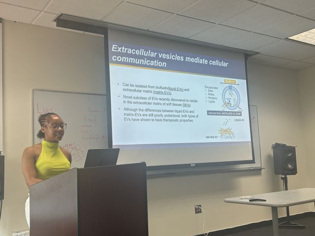 Hailey's Summer Presentation 2025!