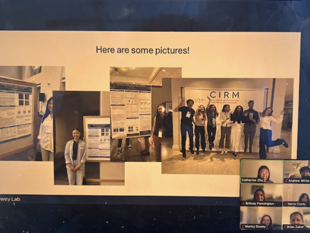 Cat's end of year COMPASS presentation to all her amazing research mentors!