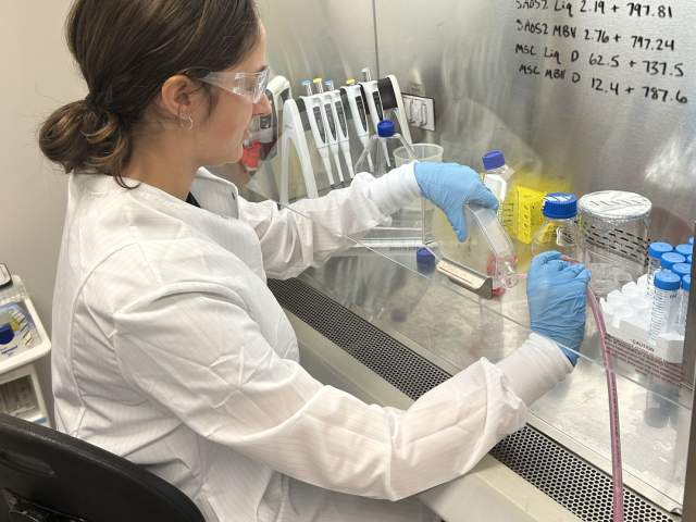 Hannah doing some good old-fashioned cell culturing!